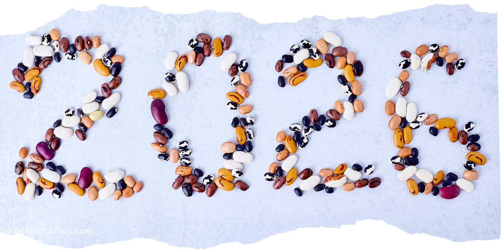 2026 spelled out in beans