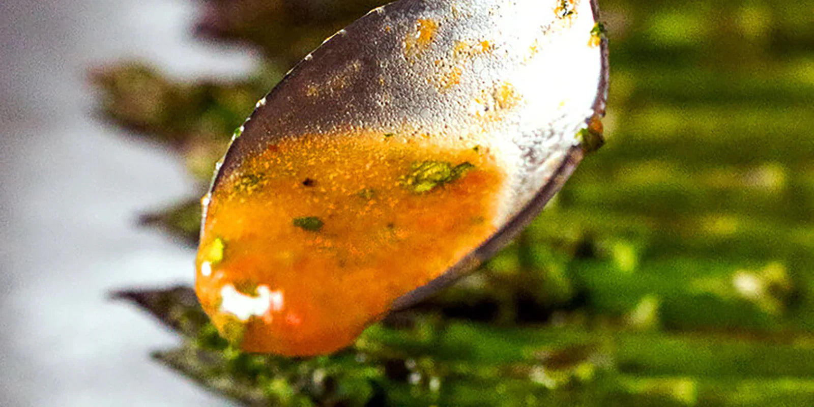 roasted red pepper and hazelnut oil vinaigrette