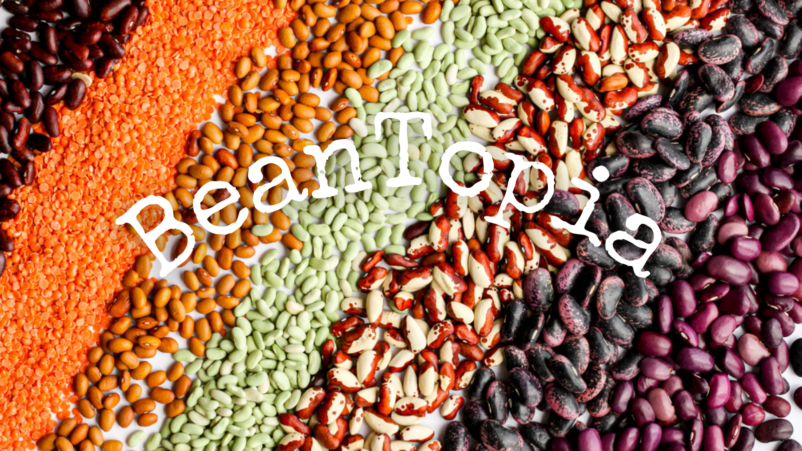 Wellcome To Beantopia - Shop Foodocracy