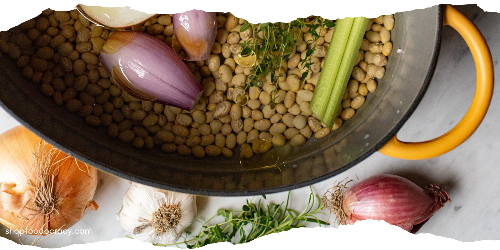 pot of beans with herbs and shallots surrounded by onions, garlic and herbs