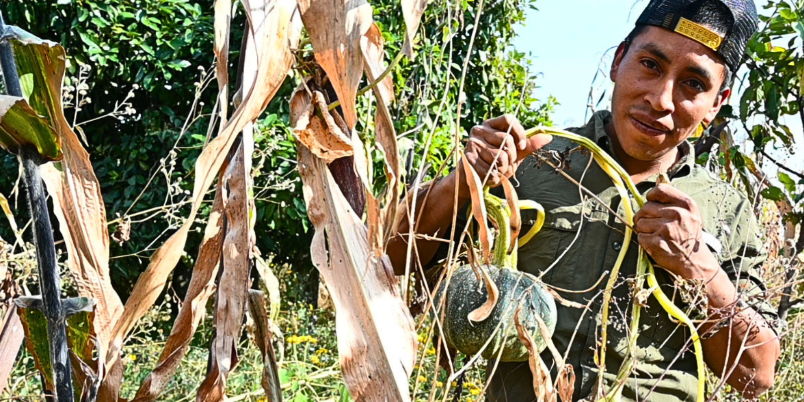 edgar silvestre with corn and squash in field