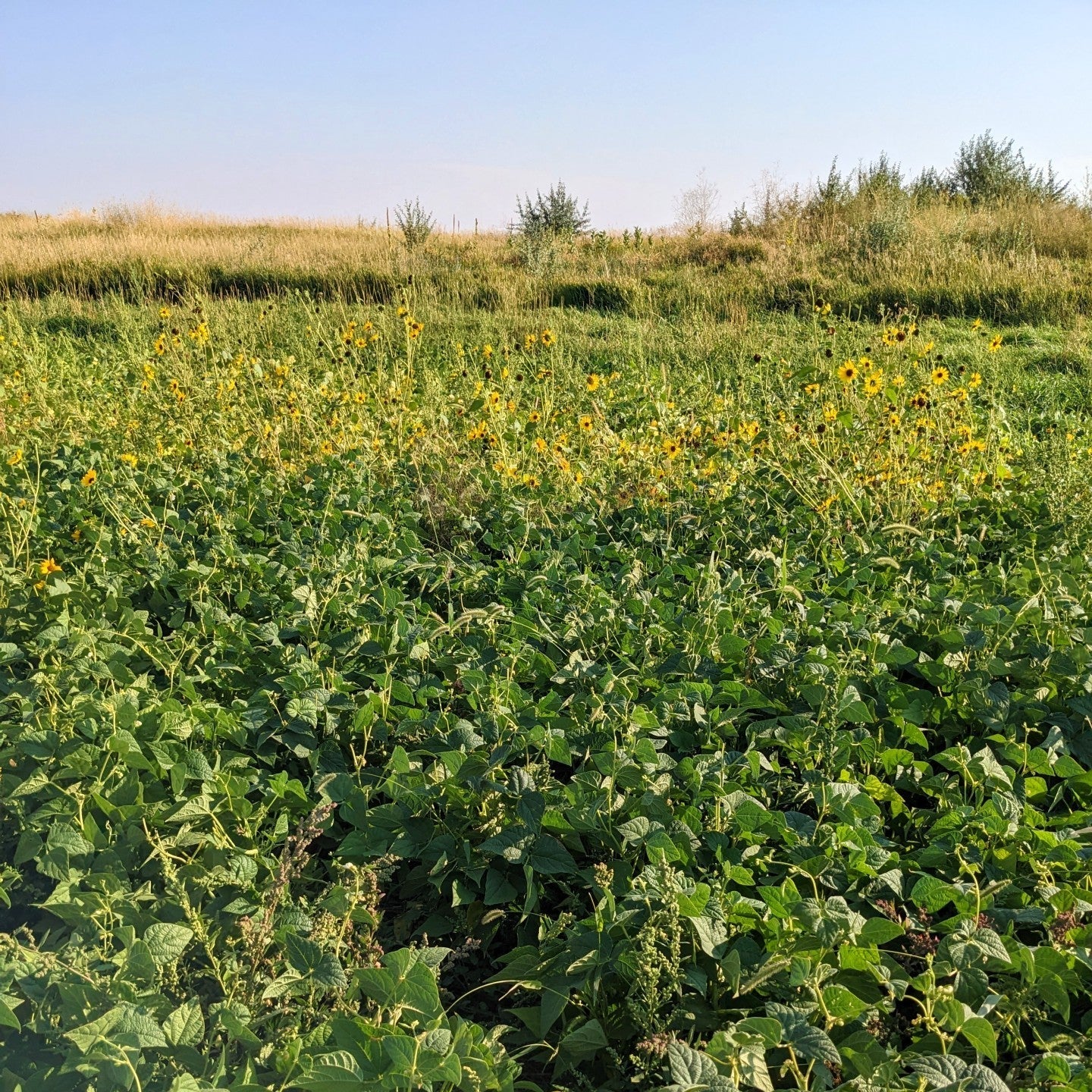 Founder update: How to build truly resilient farms