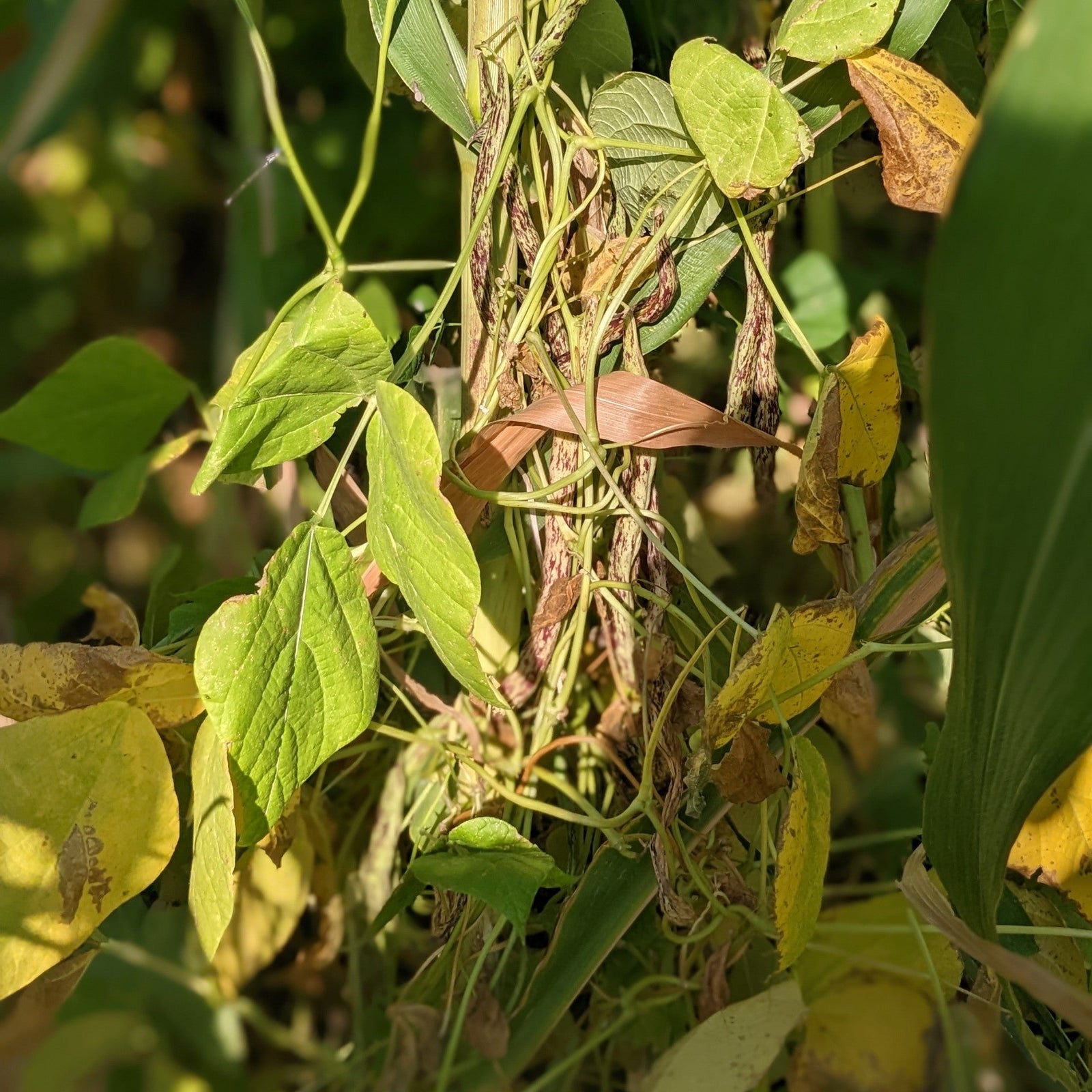 Founder update: Musings on our sourcing model & mission (June 2023)