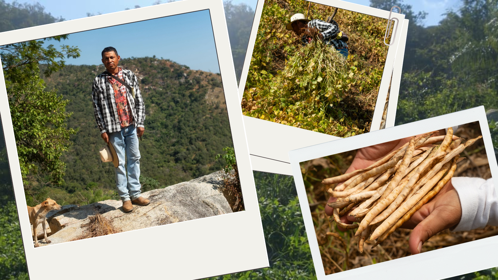 The teresa Garcia Family Farm