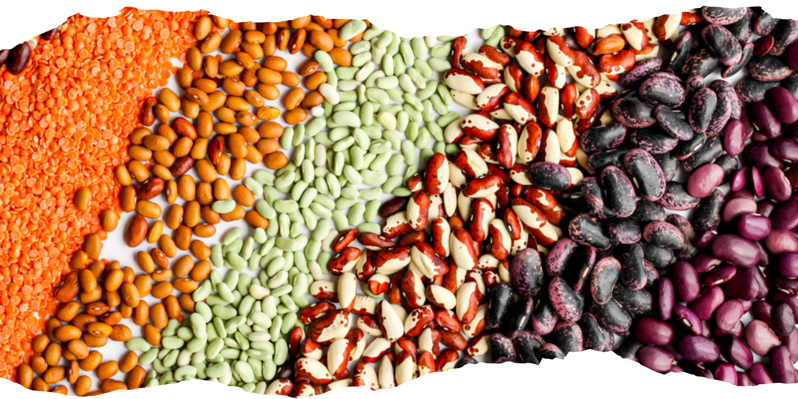 Free The Beans
