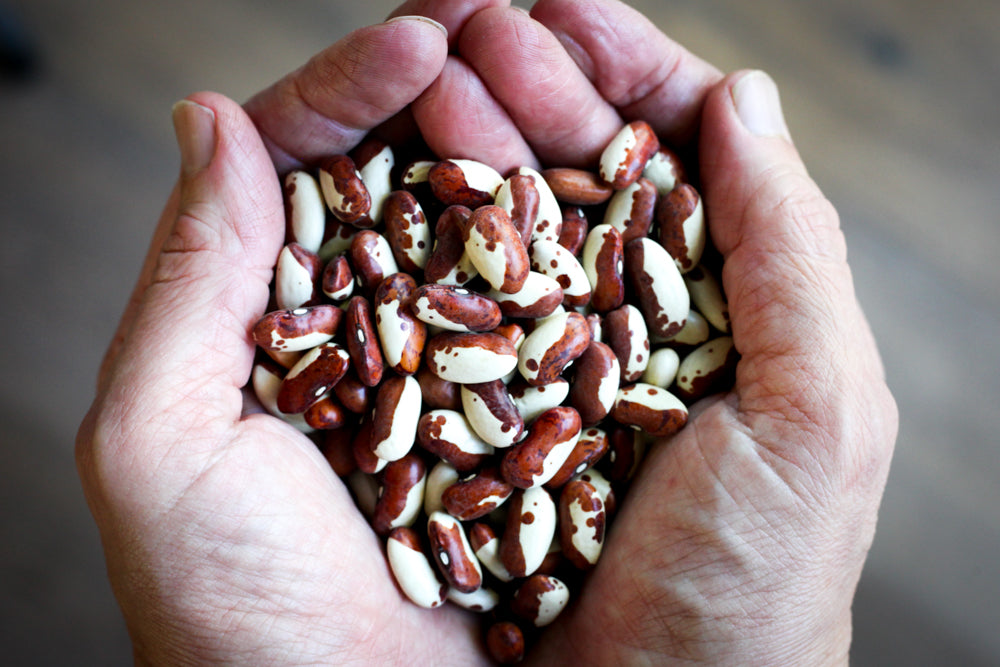 How To Cook Heirloom Beans - Shop Foodocracy