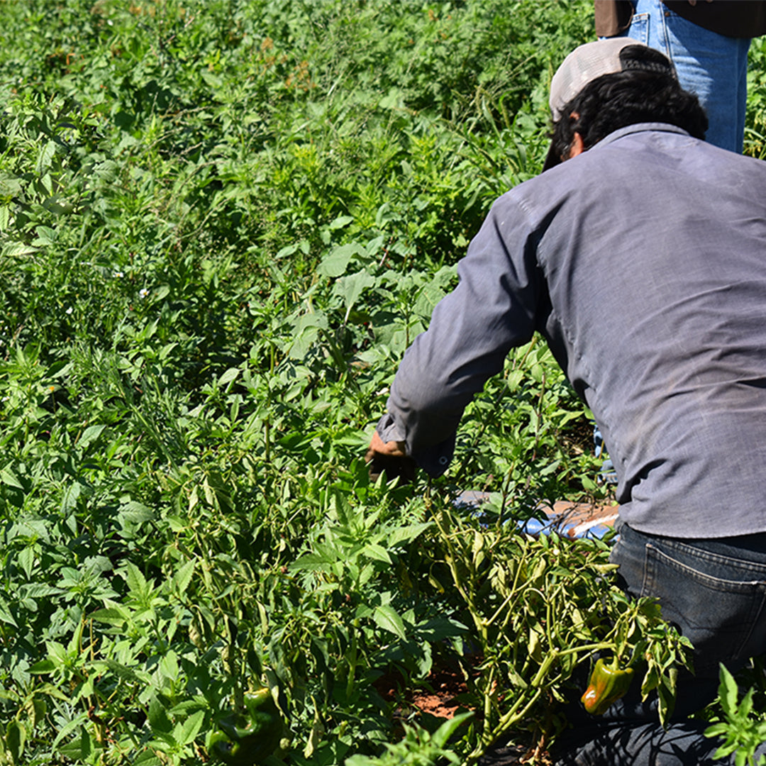 A note about climate change from Lesley