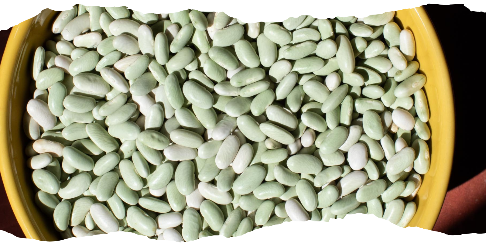 Flageolet Beans: History, Flavor & Why They're Worth Finding