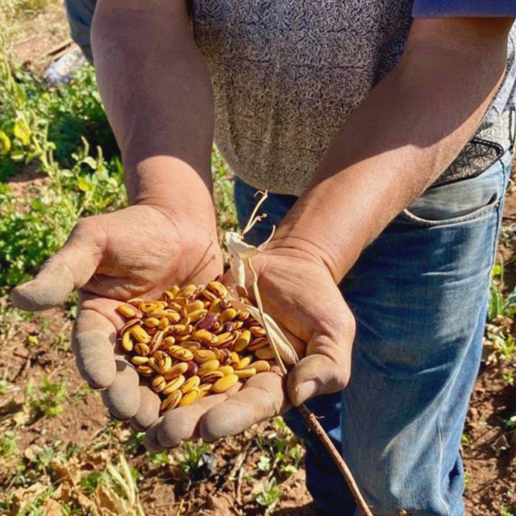 A special note for Earth Day