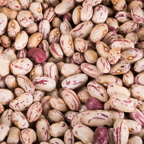Organic Cranberry Beans - Regeneratively Farmed - Shop Foodocracy