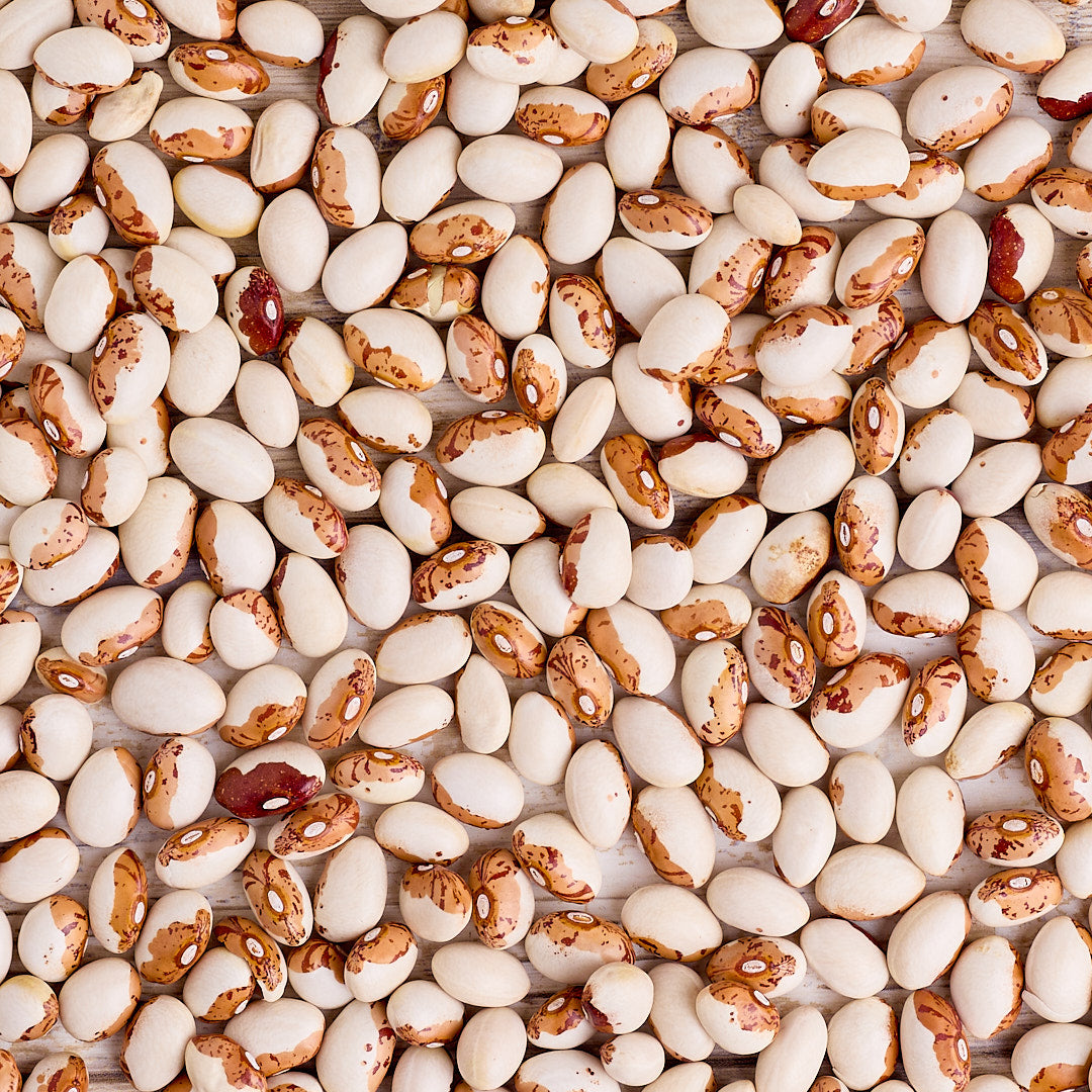 Organic Hidatsa Shield Figure Bean - Shop Foodocracy