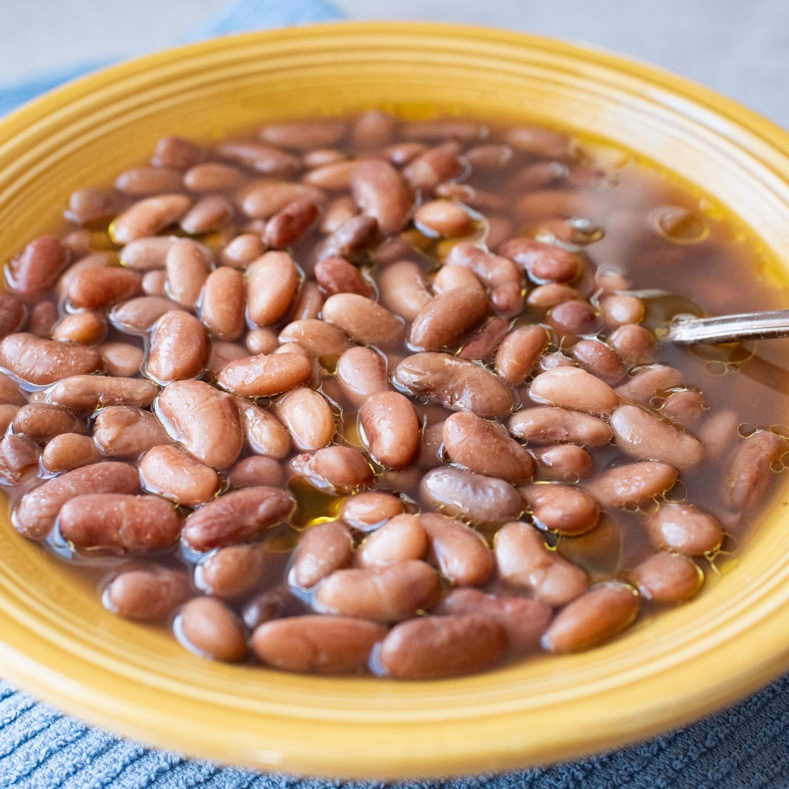 Speckled Bayo Beans - The Foodocracy