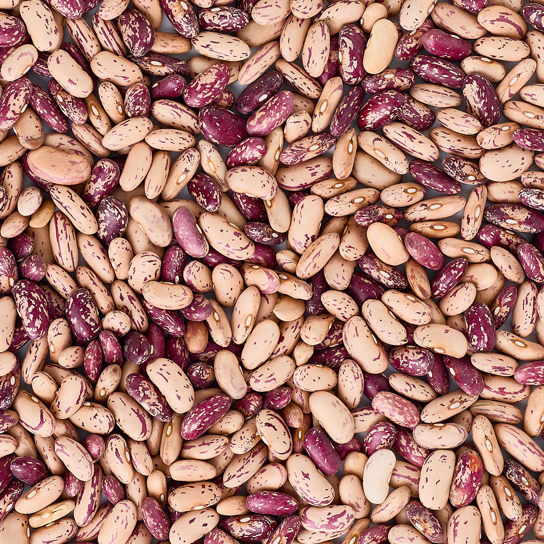 Speckled Bayo Beans - Limited Edition - The Foodocracy