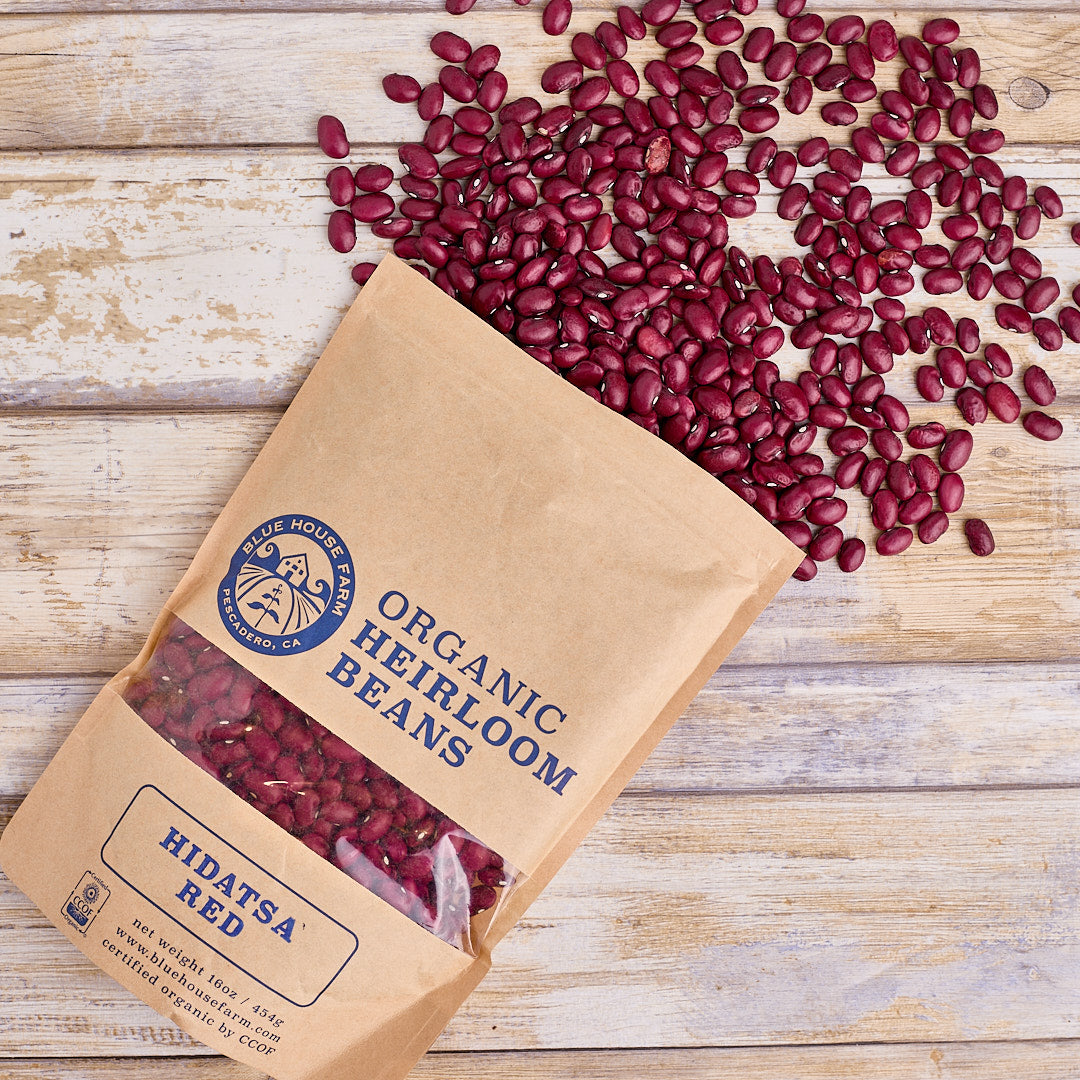 organic heirloom beans - hidatsa red beans open