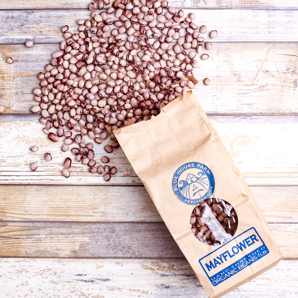 Organic Mayflower Heirloom Beans - Shop Foodocracy