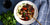 CHRISTMAS LIMA BEAN BOURGUIGNON