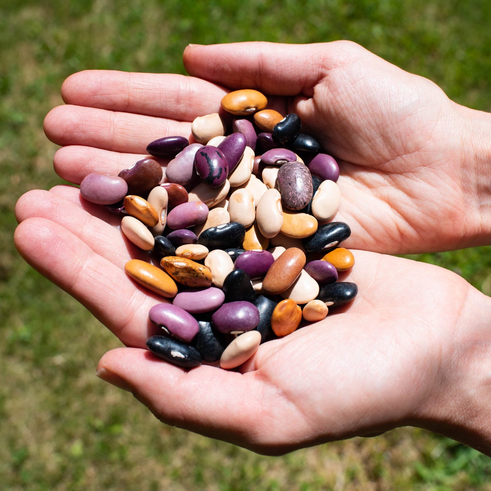 What it means to be a product of agricluture