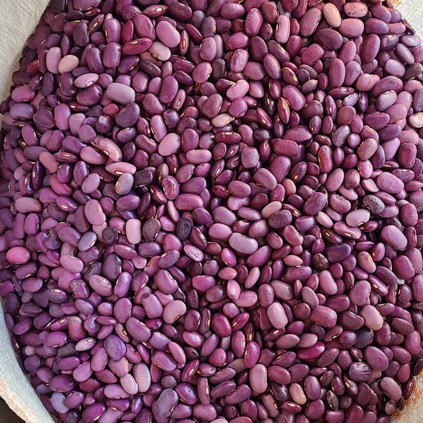 Founder update: Why thoughtful trade matters