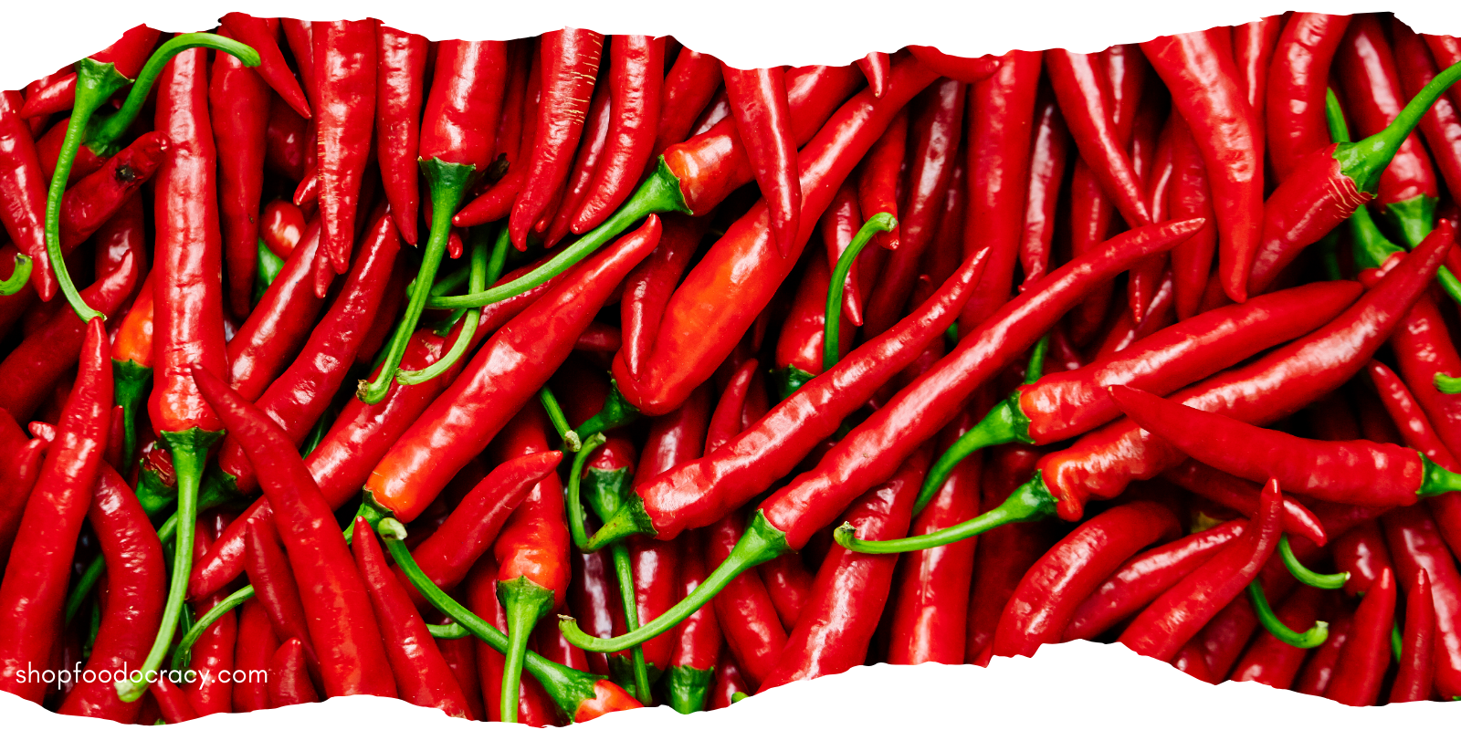 Feel The Burn (or not): Why some people handle spicy food better than others
