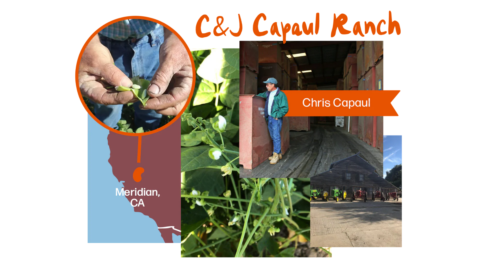 Chris Capaul
