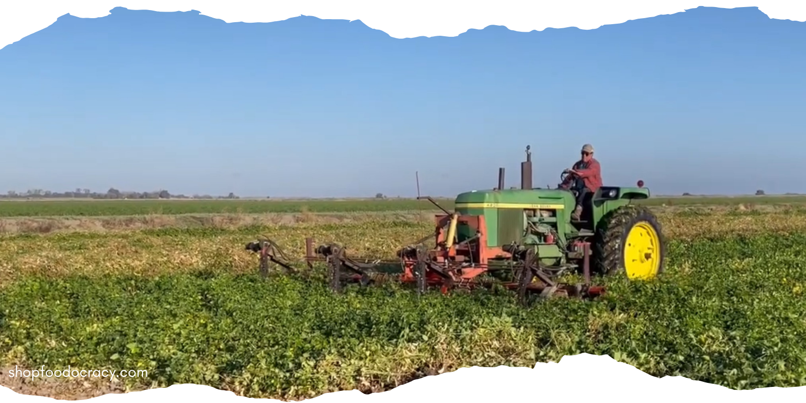A Day In The Life Of A Bean Farmer