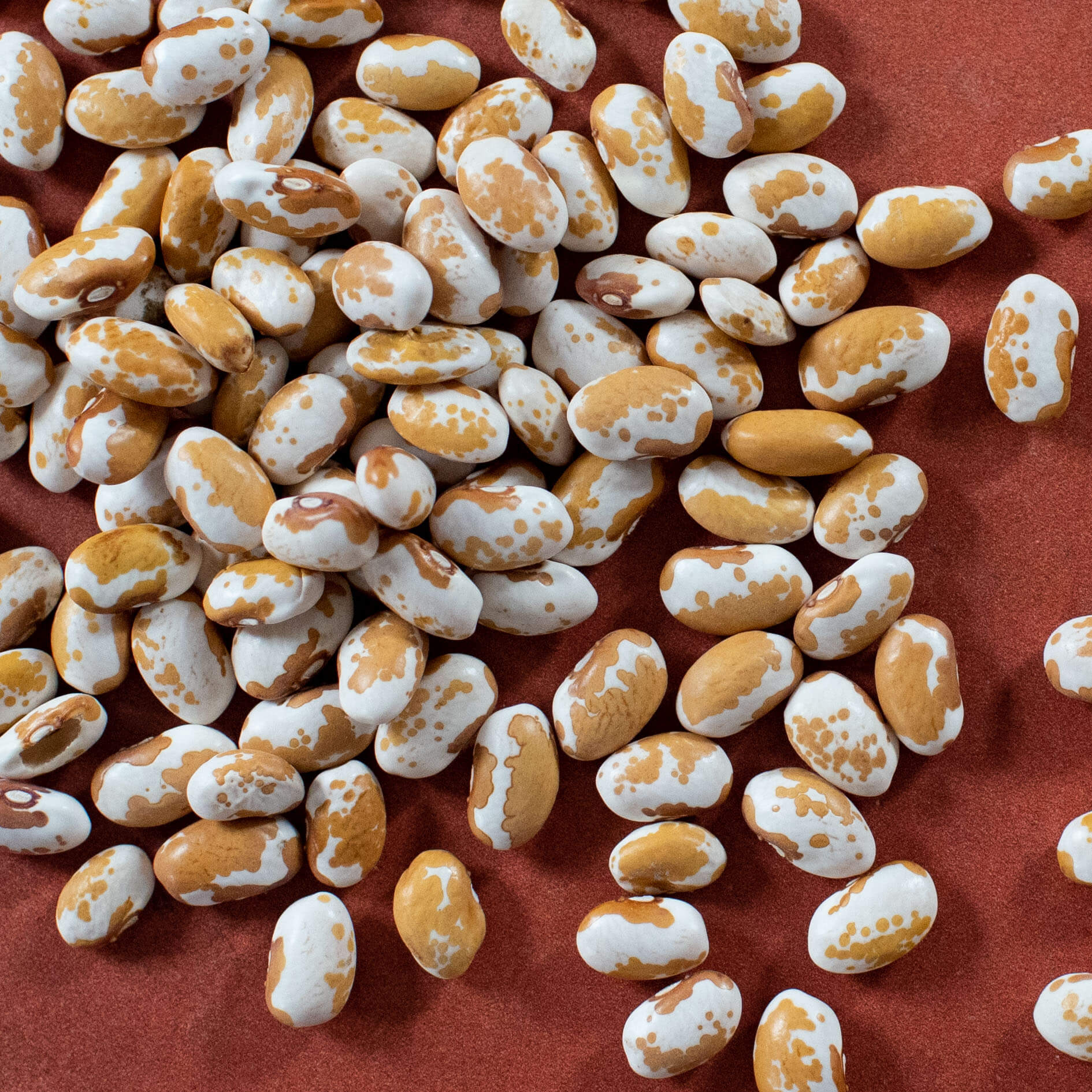 Founder update: Why we don't use the word sustainable (August 2023)