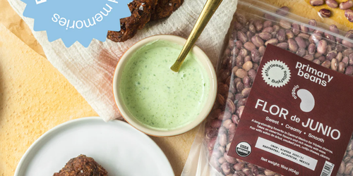 Spicy Bean Cakes With Cilantro-Yogurt Sauce