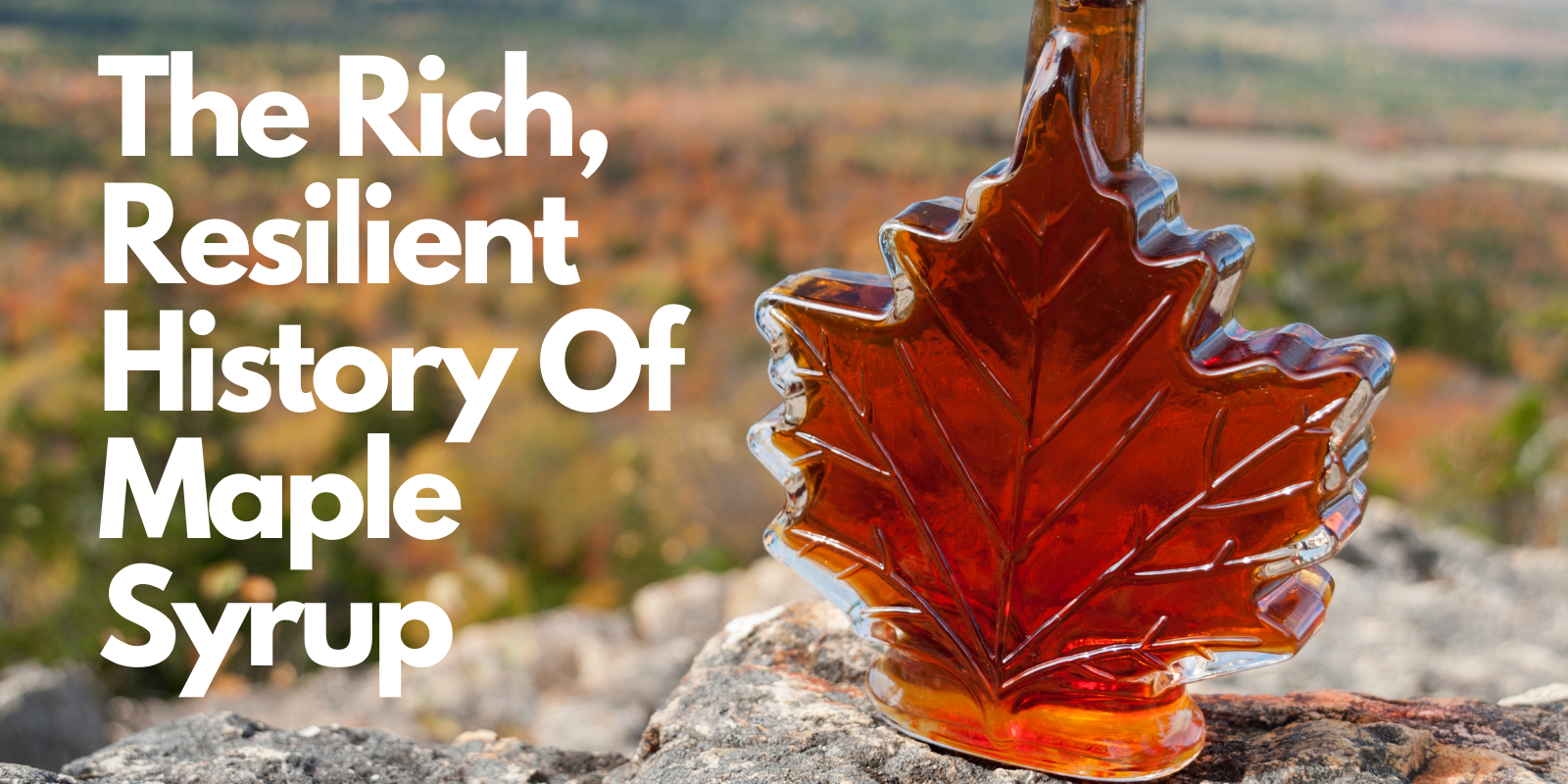 The Rich, Resilient History of Maple Syrup