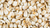 hominy