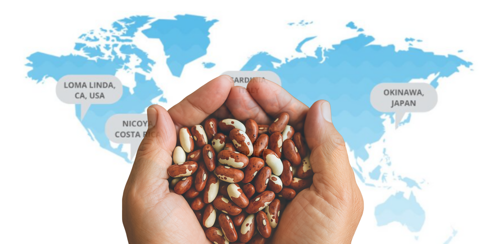 The Blue Zones Secret®: How to Eat Beans Daily Like the World's Healthiest People