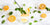 Herbalicious Meyer Lemonade Fizz