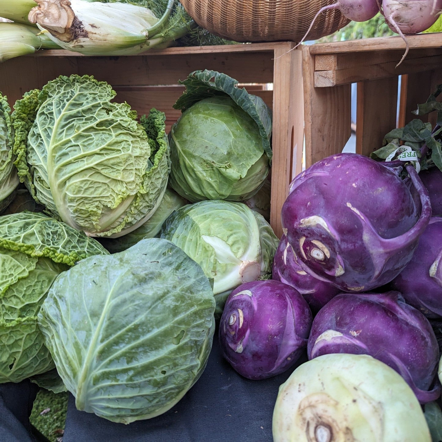 Founder update: Thoughts on eating seasonally