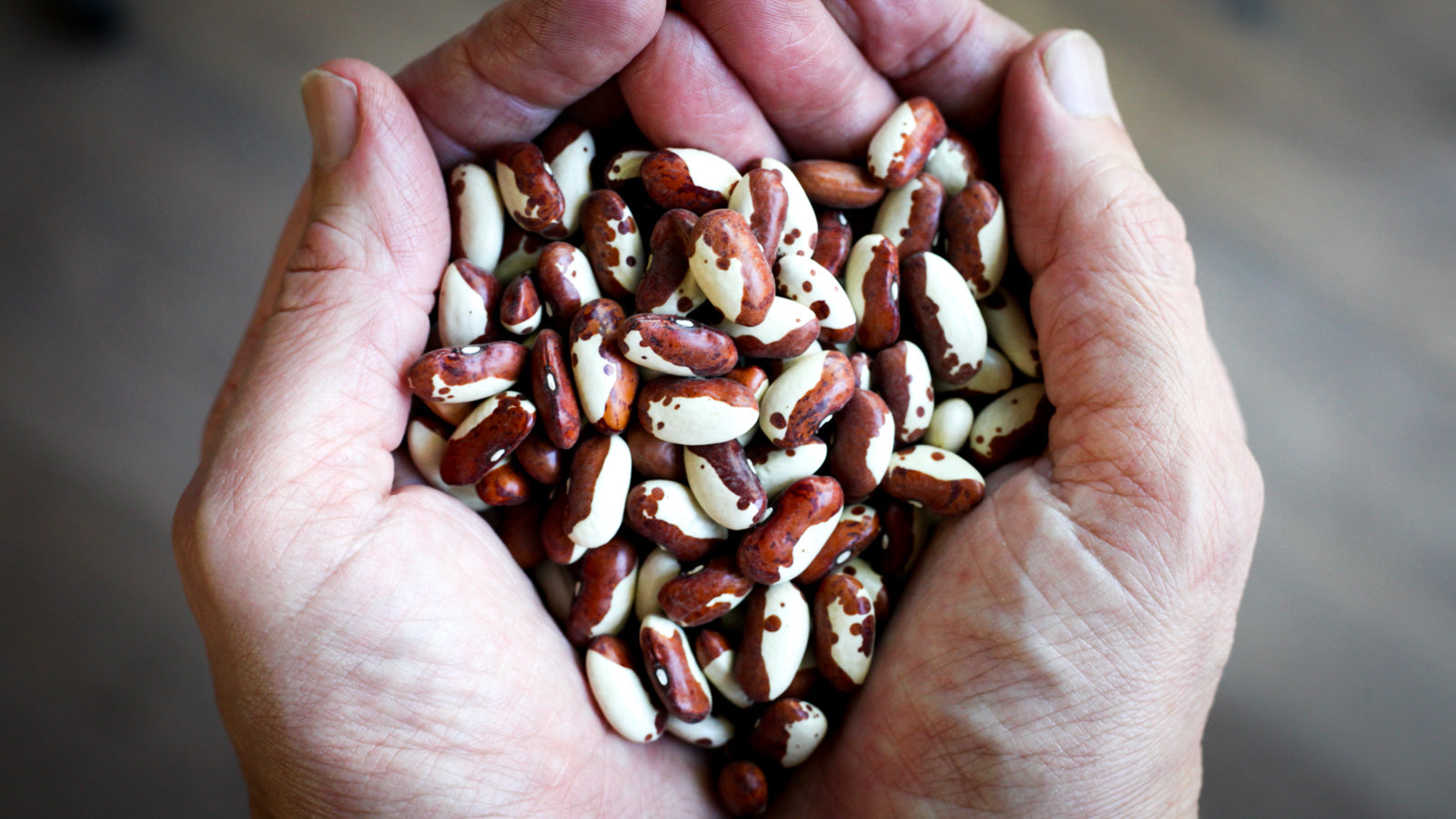 Heirloom beans