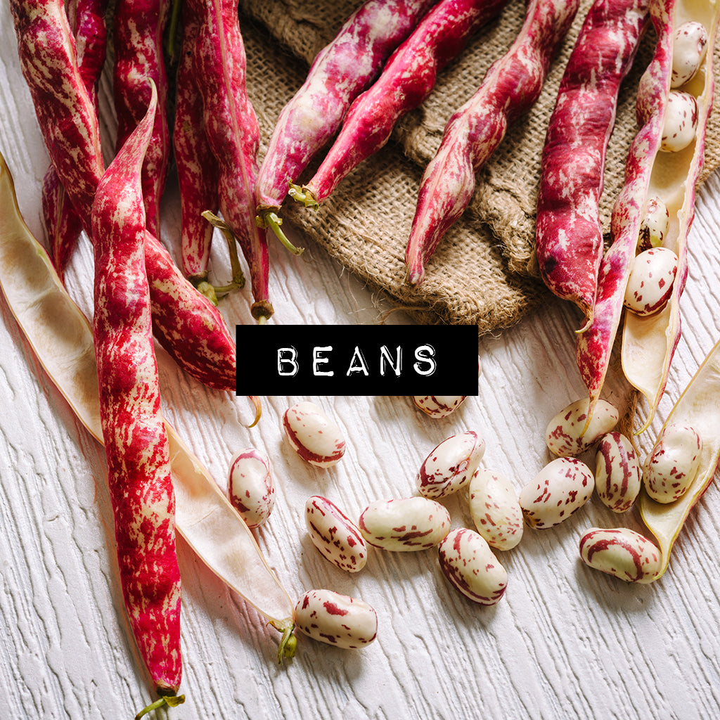 Heirloom Beans