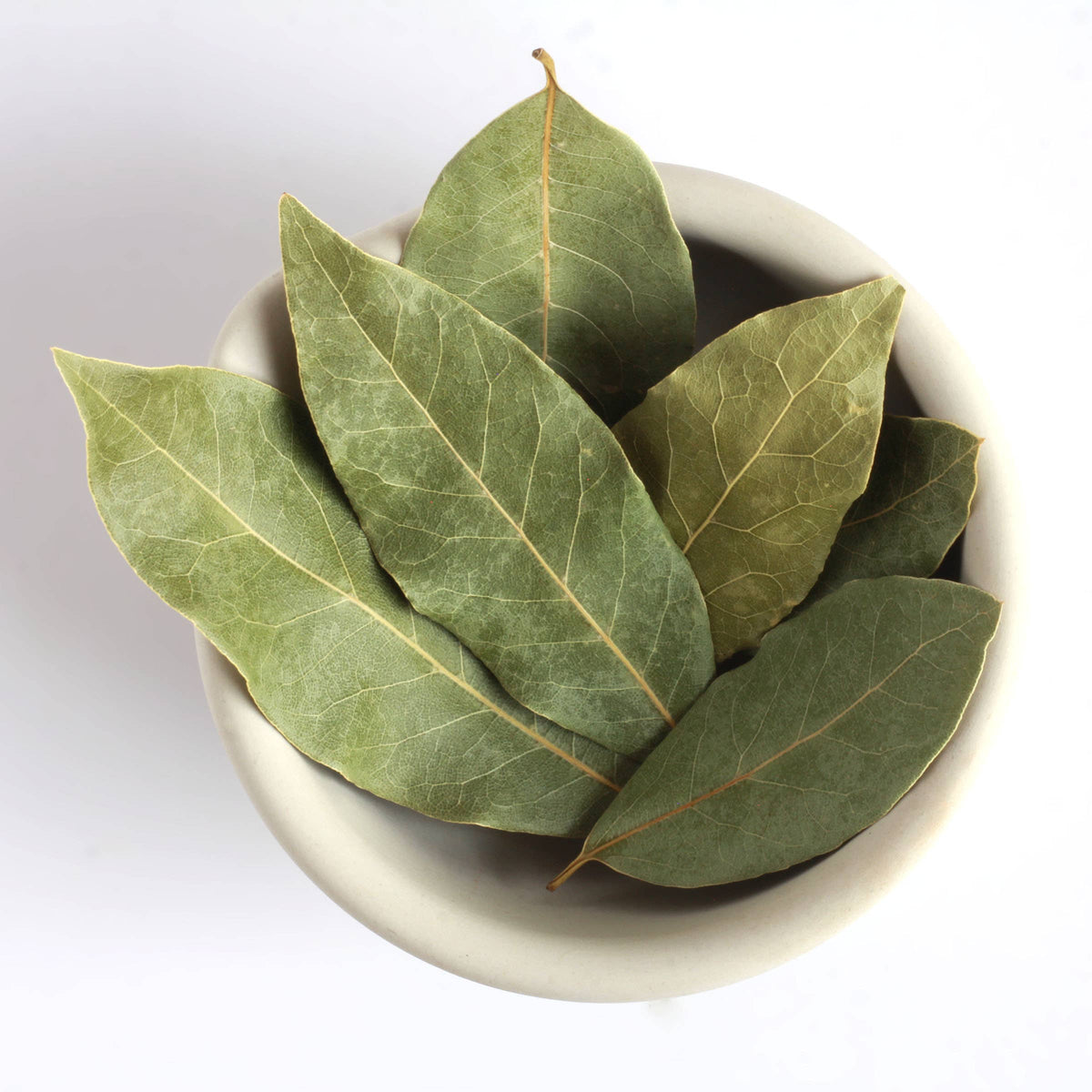 Sicilian Bay Leaf: Bag (.16 oz) - The Foodocracy