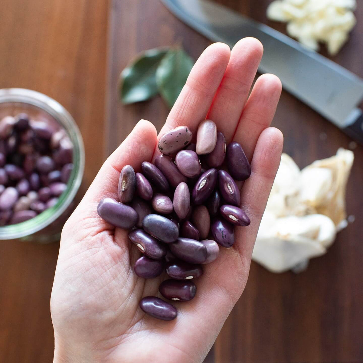Ayocote Morado Beans - The Foodocracy