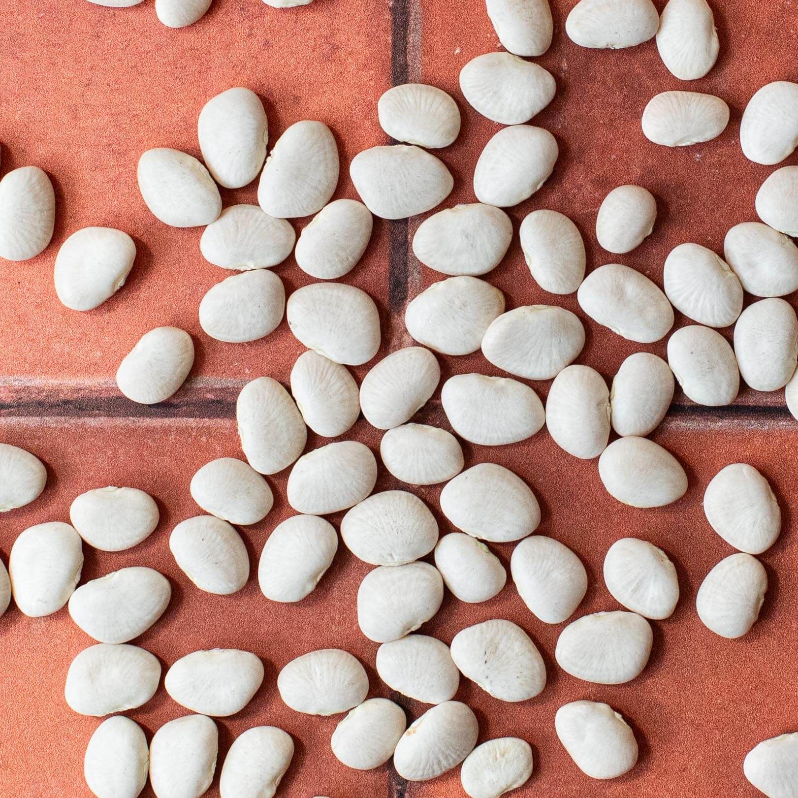 Baby Butter Beans - The Foodocracy