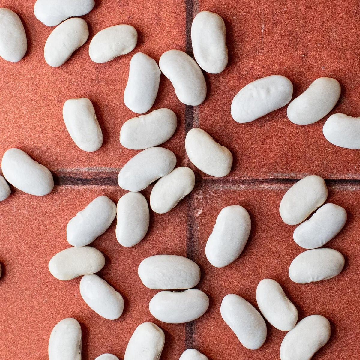 Cannulah "Cassoulet" (organic) - The Foodocracy