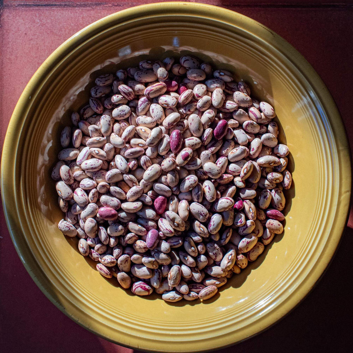Cranberry Beans - The Foodocracy