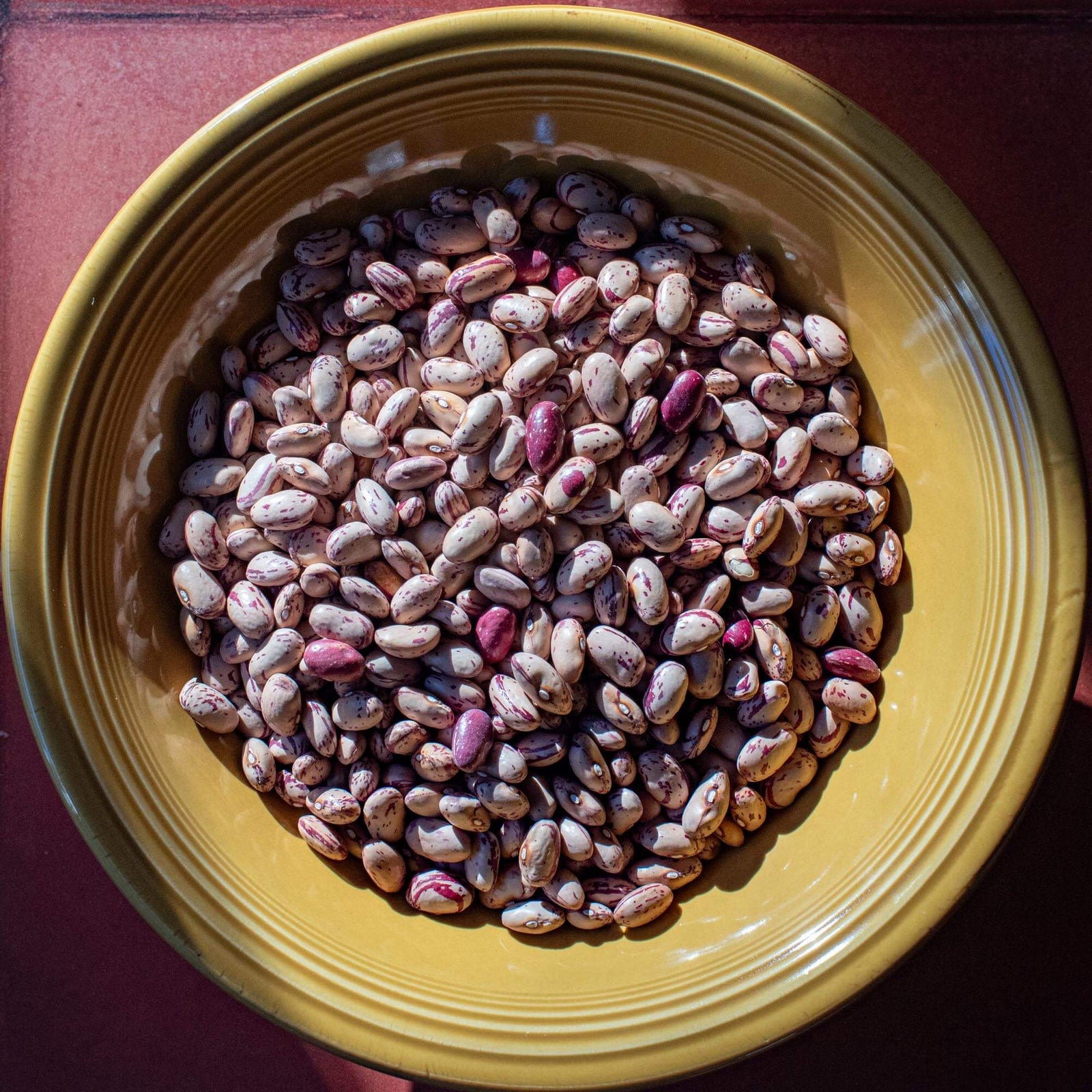 Cranberry Beans - The Foodocracy
