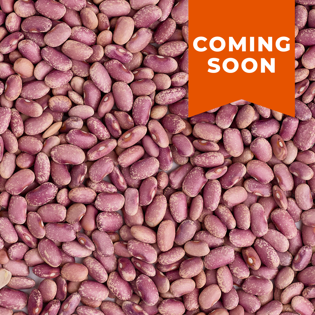 Flor de Mayo Beans - The Foodocracy