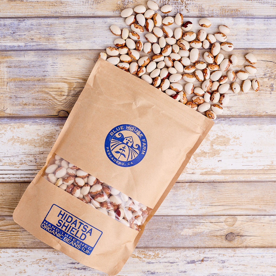 Organic Hidatsa Shield Figure Bean - Shop Foodocracy