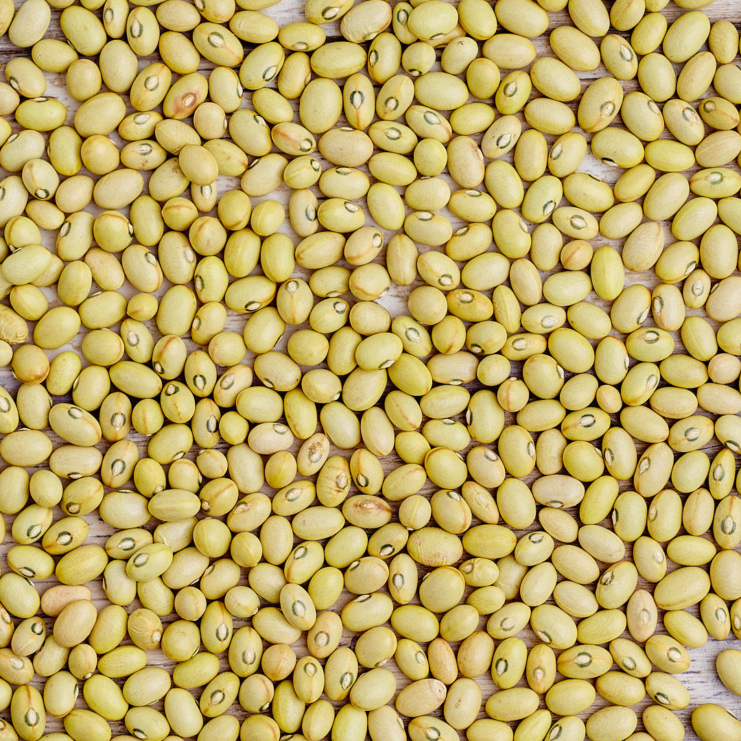 Organic Hutterite Soup Beans - Shop Foodocracy