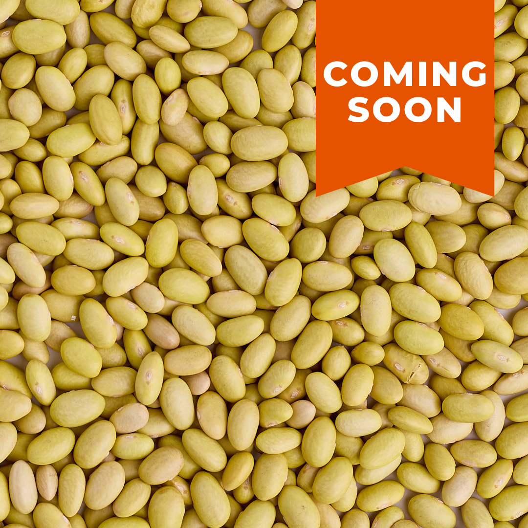 Peruano Beans - The Foodocracy