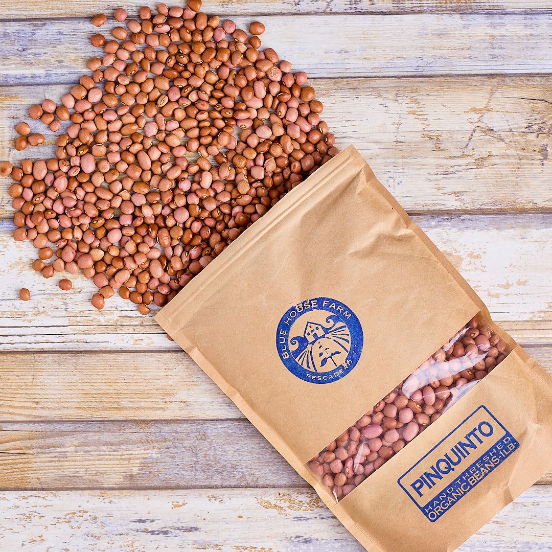 Organic Pinquito Heirloom Beans