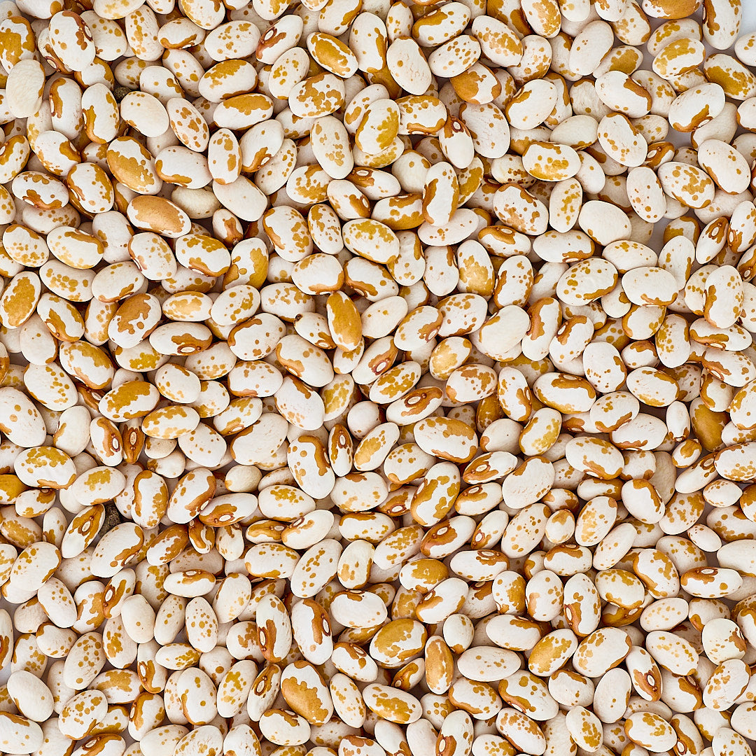 Organic Southwest Gold Beans