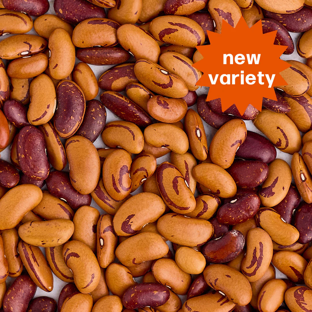 Tiger Eye Beans (organic) - The Foodocracy