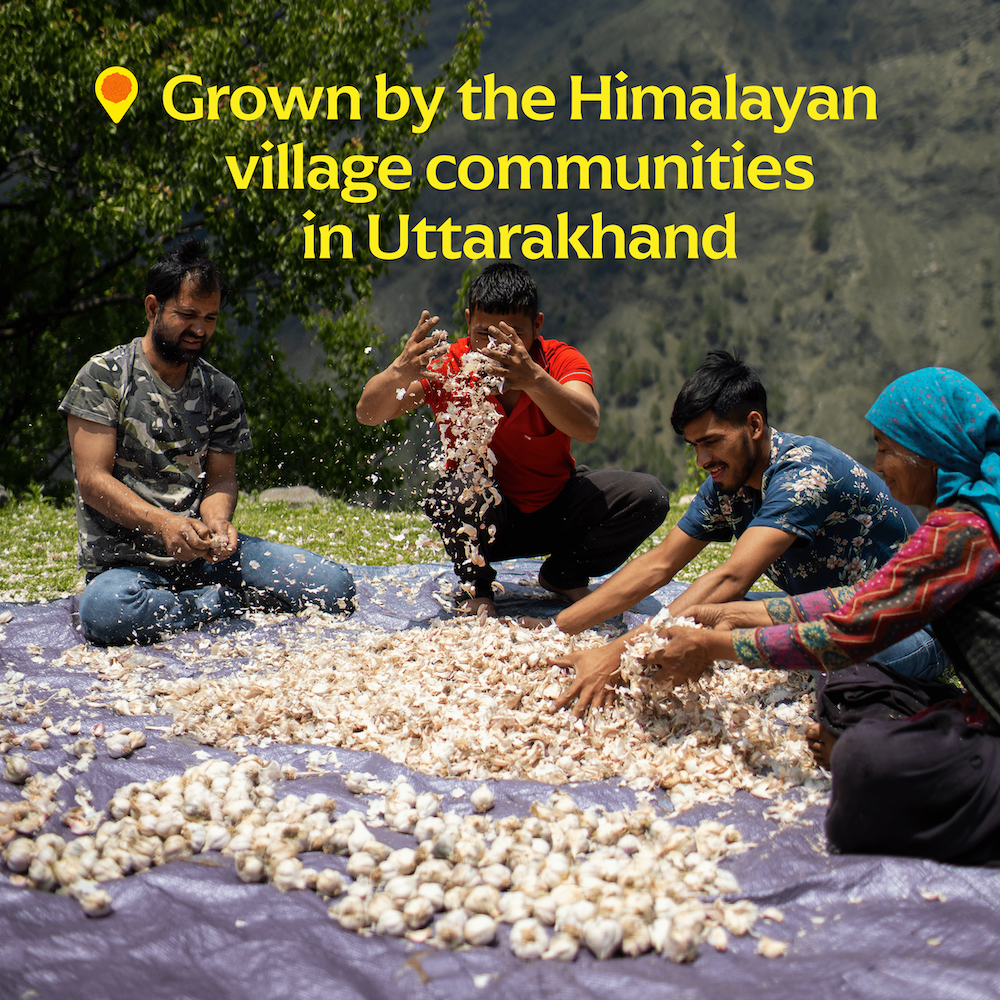 Pahadi Pink Garlic (Powder) -  Single-Origin Spice - The Foodocracy