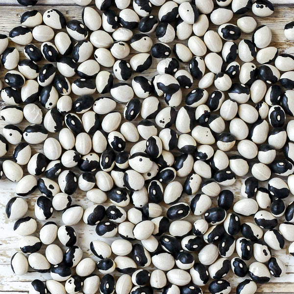 Calypso Heirloom Beans Shop Foodocracy