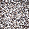 Grey Dapple Heirloom Beans - Non GMO